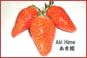 strawberry variety: akihime