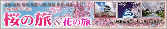 JCK Hanami Tours